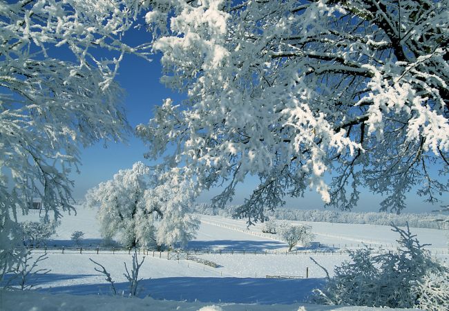 Winterwunderland im Bayerischen Wald